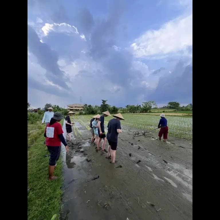 Bali rice farm tour