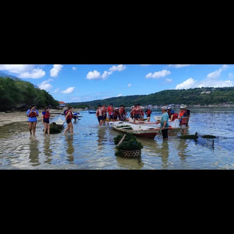 Seaweed planting · sustainable activity