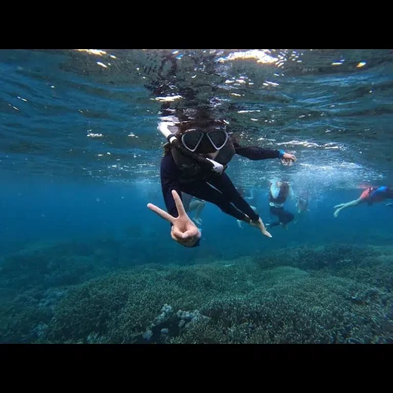 Snorkelling adventure